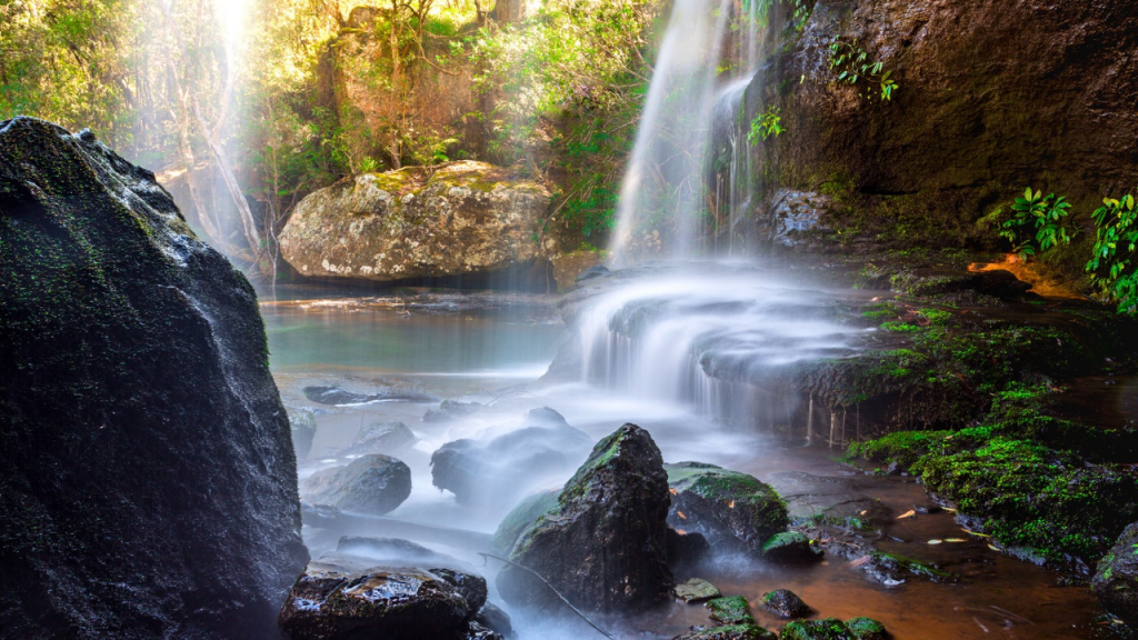 Mayfield Falls Tour