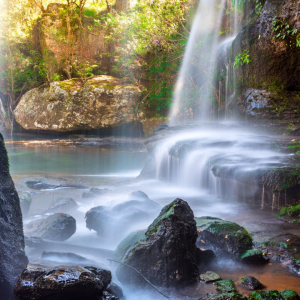 Mayfield Falls Tour