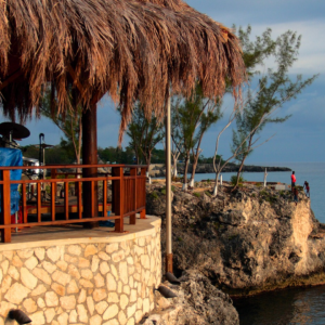 Rick’s Cafe and Negril Day Tour