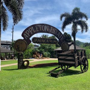 Appleton Rum Tour