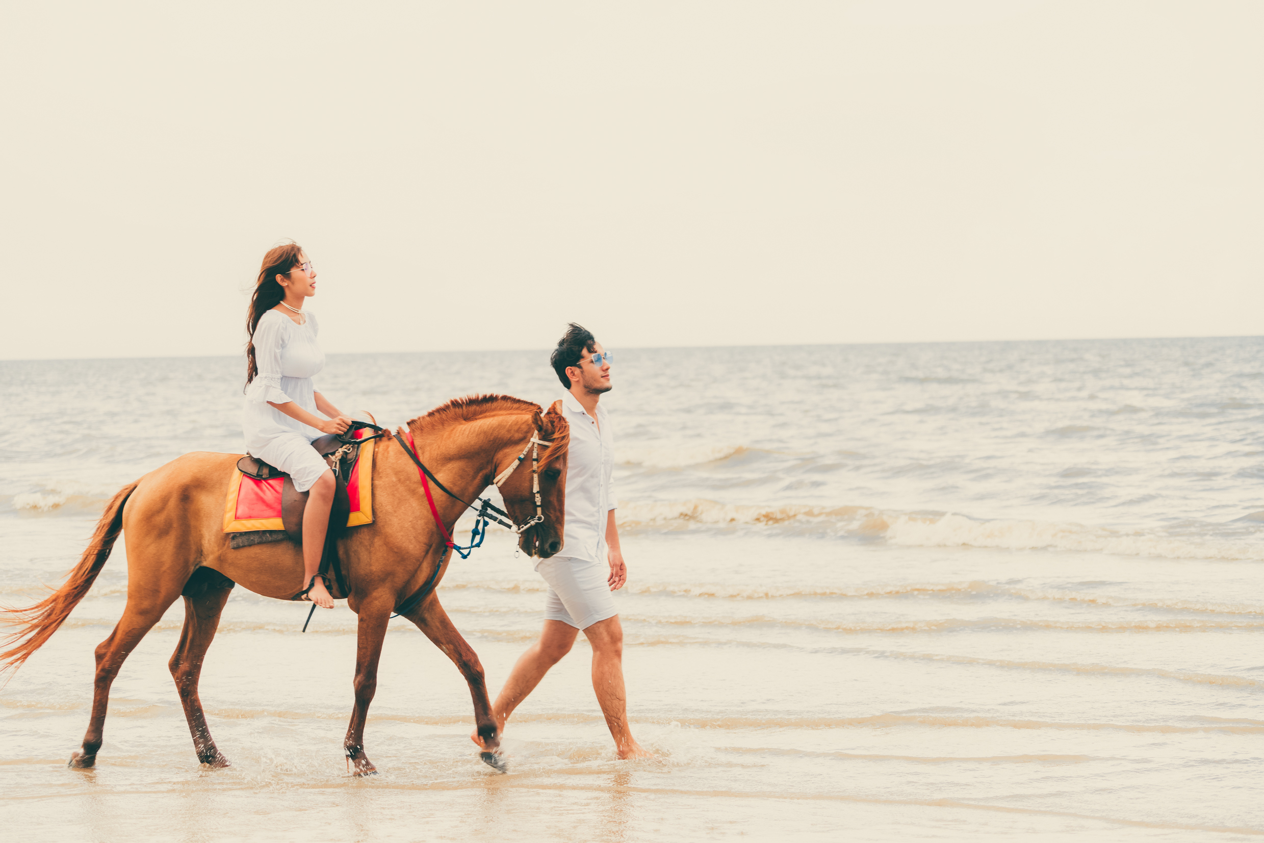 4 Shores 4 Tours Horse Back Riding