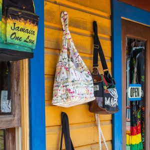 Ocho Rios Day Highlight